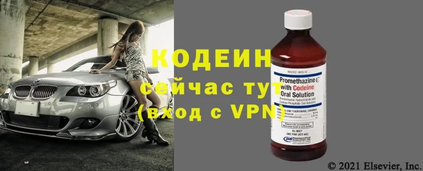 мдпв Семилуки