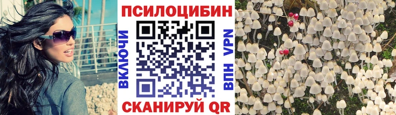 цена наркотик  Семилуки  даркнет какой сайт  Галлюциногенные грибы Magic Shrooms 