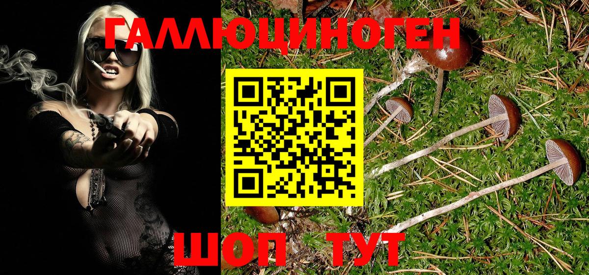 Псилоцибиновые грибы GOLDEN TEACHER  Псилоцибиновые грибы Psilocybe  Вход с VPN  Семилуки 